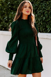 Long Sleeve Smocked Dress